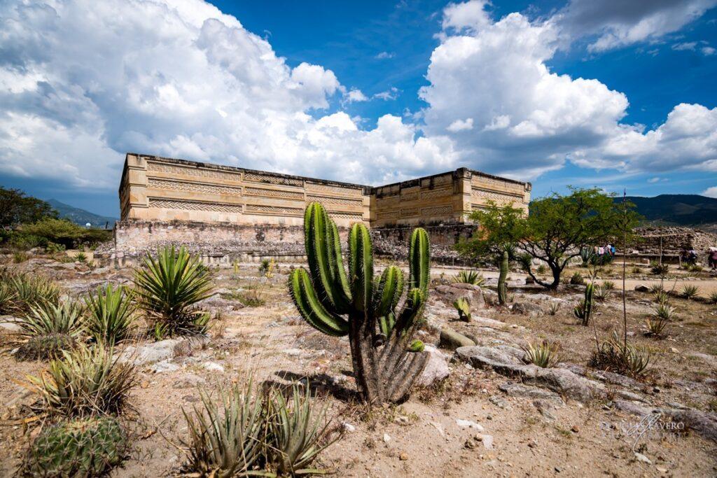 Recorrido privado por la zona arqueológica de Mitla, Oaxaca, con cata exclusiva de mezcal.
