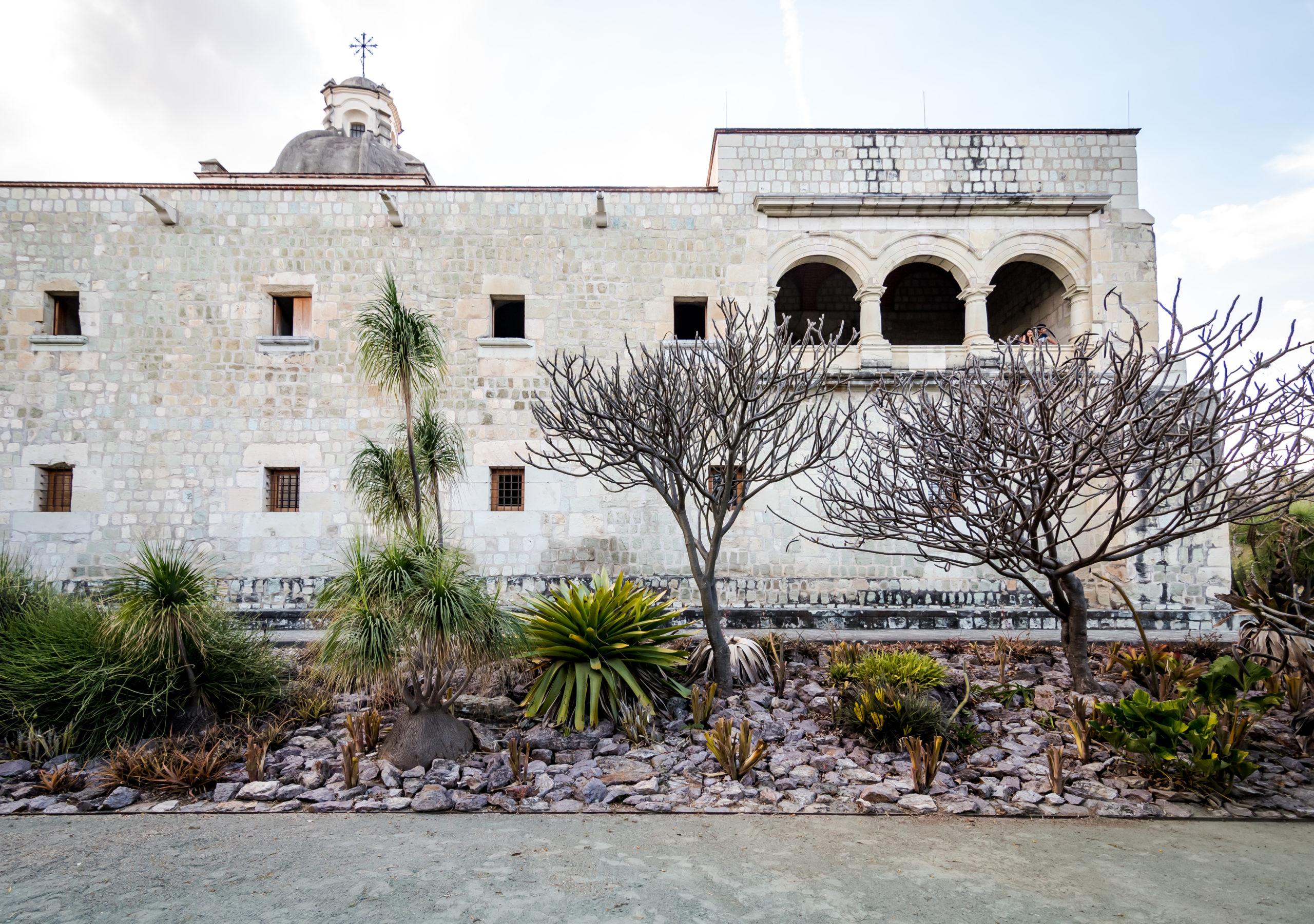 Quarry-stone wall and arches of the former Santo Domingo convent behind plants of the Ethnobotanical Garden